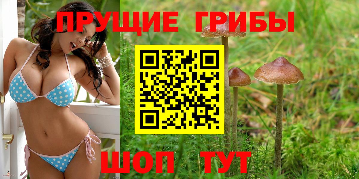 Галлюциногенные грибы Cubensis  Вход с VPN  Краснодар 